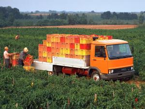 Iveco-OM 79-14